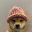 Logo of Dogwifhat